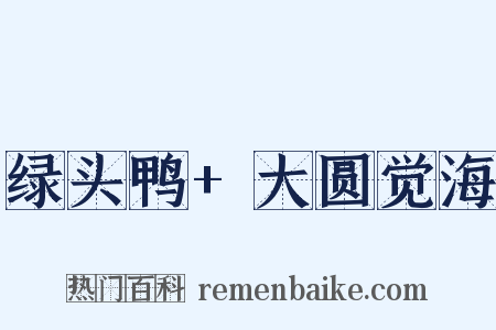 绿头鸭+大圆觉海是什么意思的图片